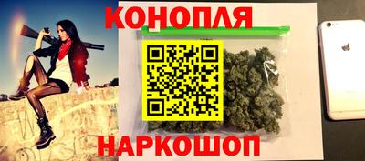 гидропоника Кингисепп