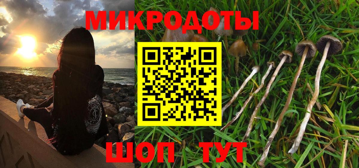 Галлюциногенные грибы мицелий Конаково