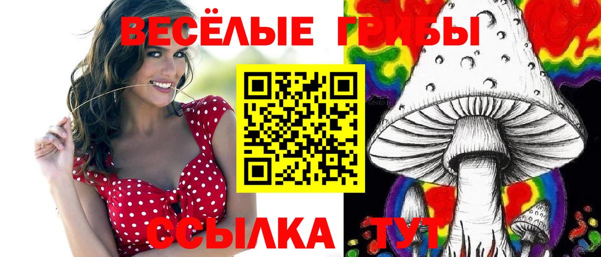 Конаково  Галлюциногенные грибы прущие грибы  Вход с VPN 